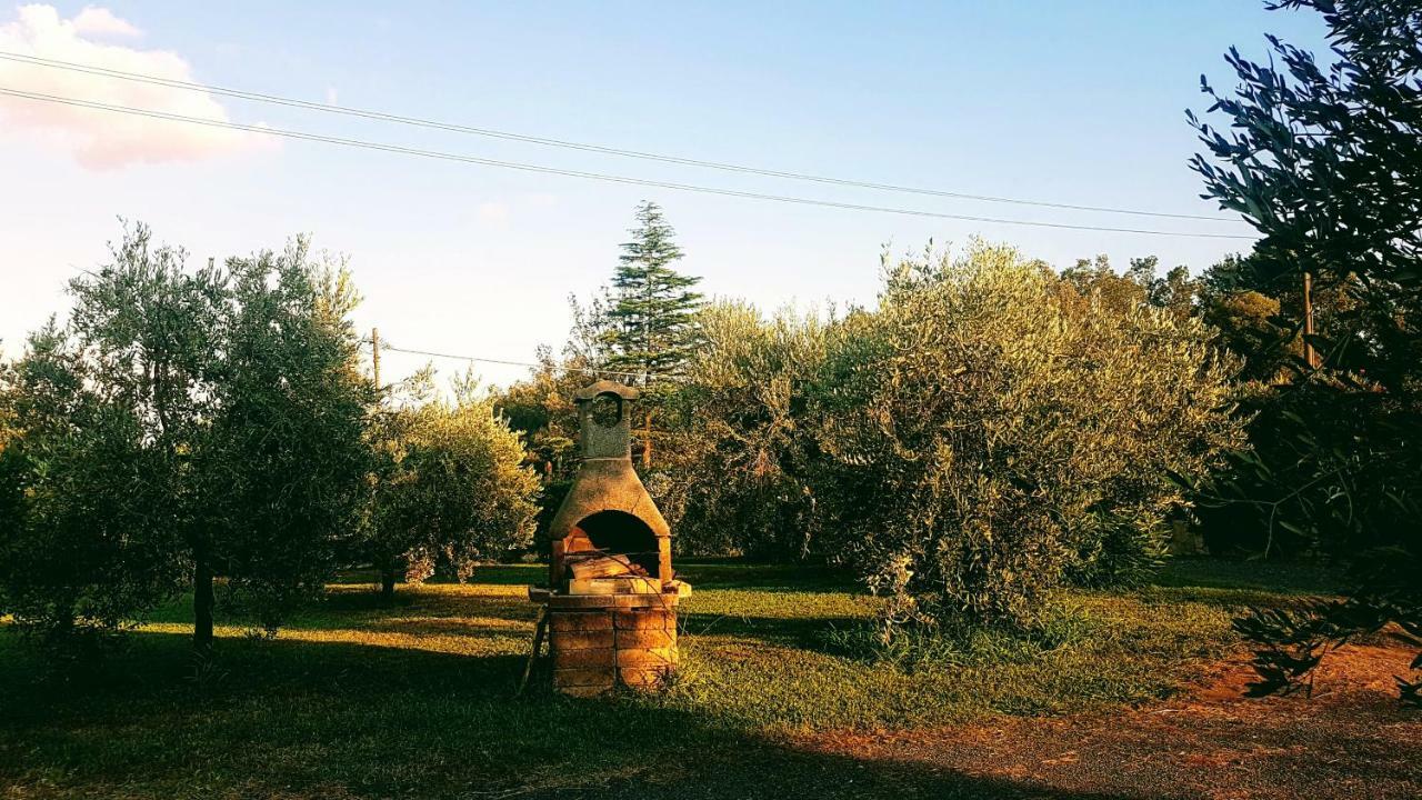 Agriturismo Casa Andreina Castiglione della Pescaia Exterior foto