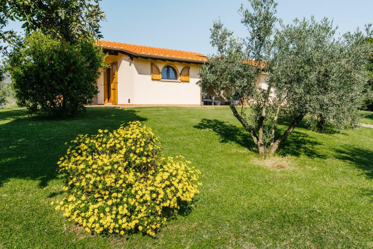 Agriturismo Casa Andreina Castiglione della Pescaia Exterior foto